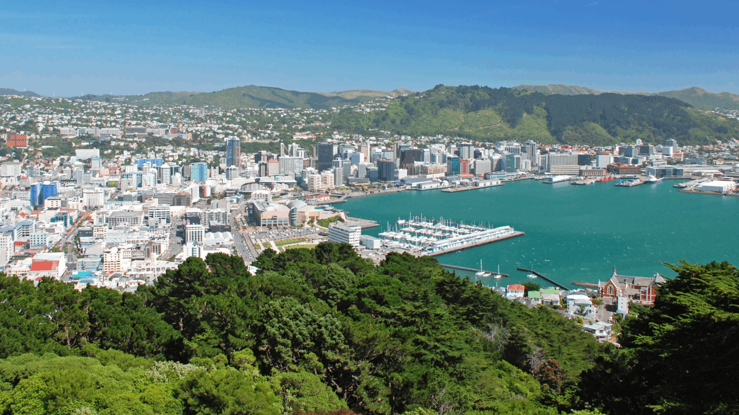 IMS exame médico visto IMS exame médico visto